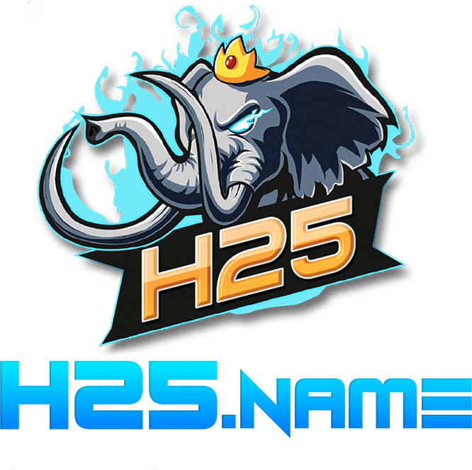 H25